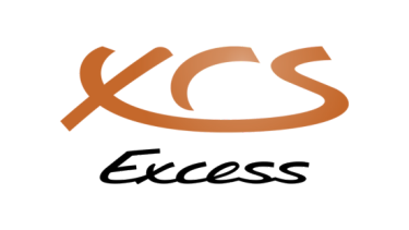 excess logo