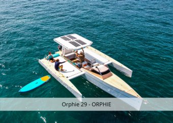 Orphie 29 